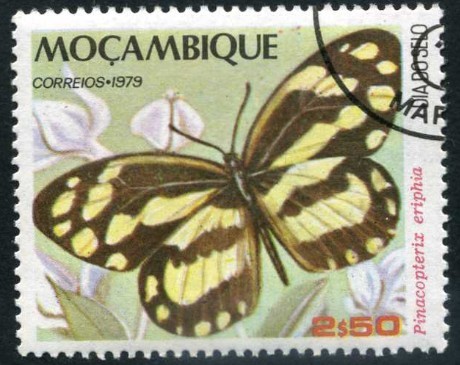 Mariposas