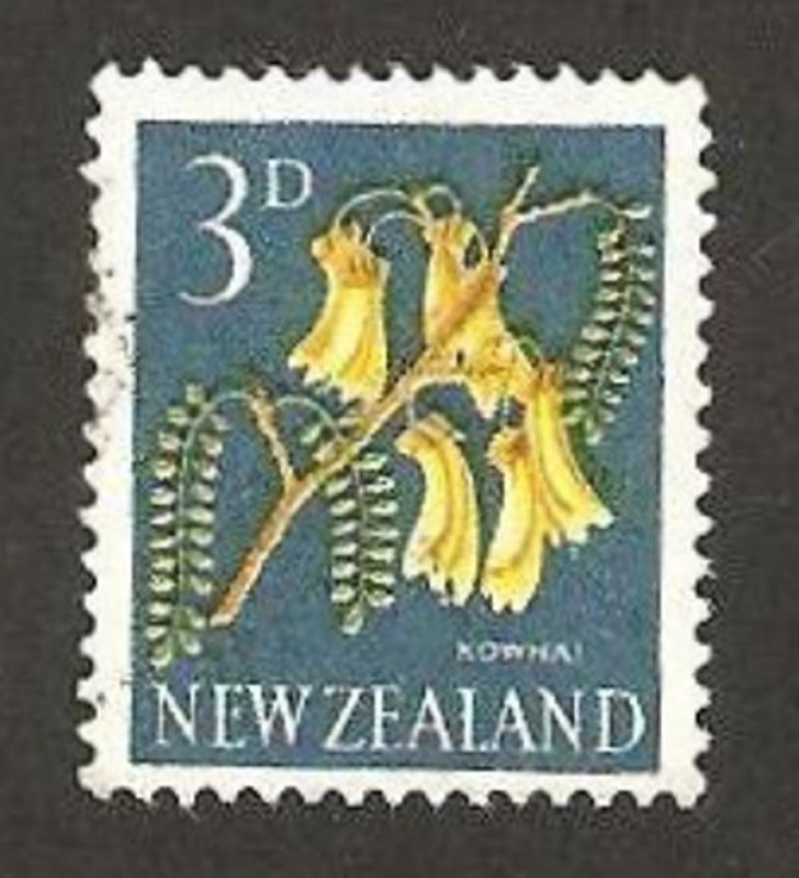 flora, kowhai