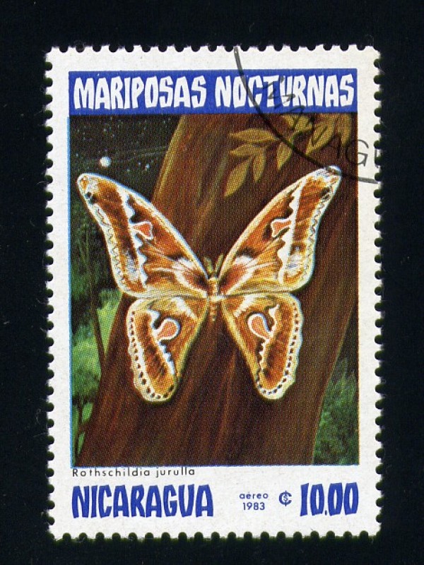 serie- Mariposas nocturnas