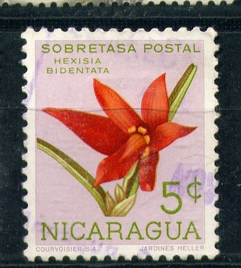 Hexisia bidentata