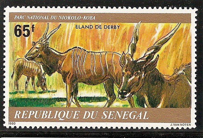Parque Nacional Niokolo-Koba