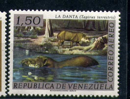 Danta