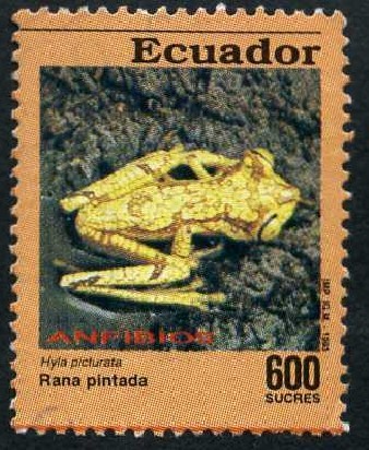 Anfibios
