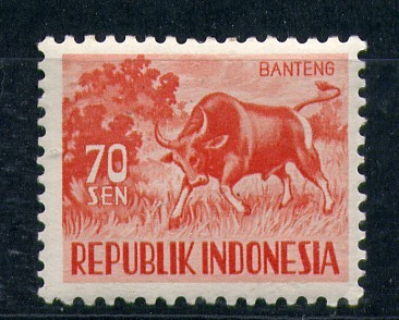 Banteng