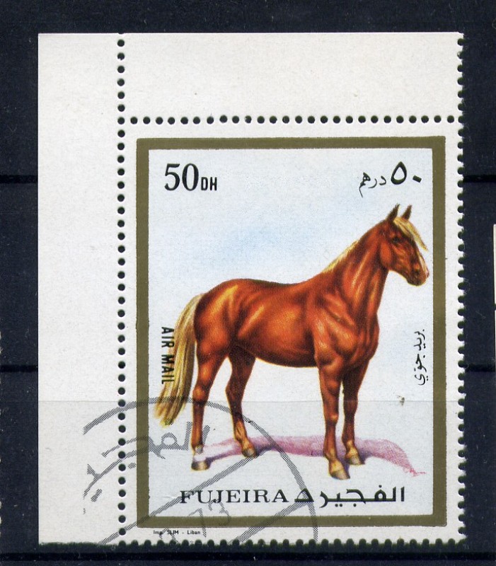 Caballo