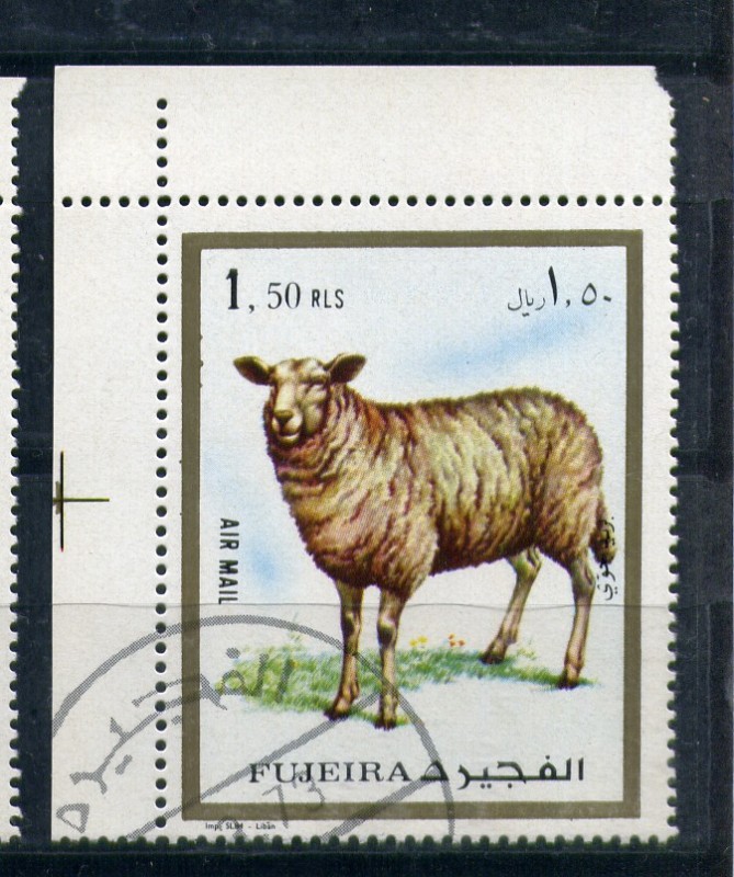 Oveja