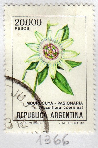 Flores argentinas (1982-1989)