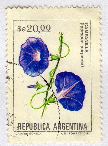 Flores argentinas (1982-1989)