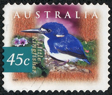 Fauna