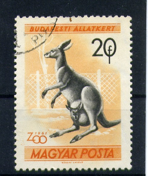 serie- Zoológico de Budapest