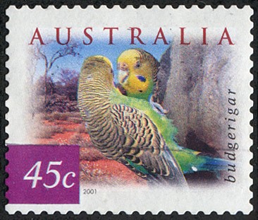 Fauna