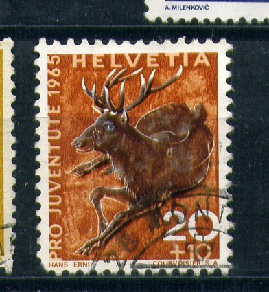 serie- Fauna- Pro juventud