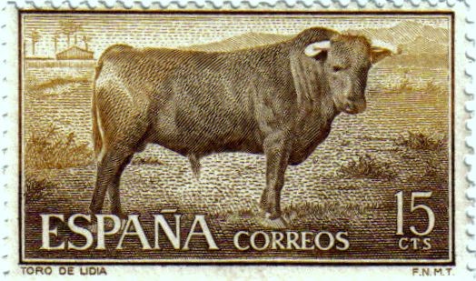 Fiesta nacional Tauromaquia