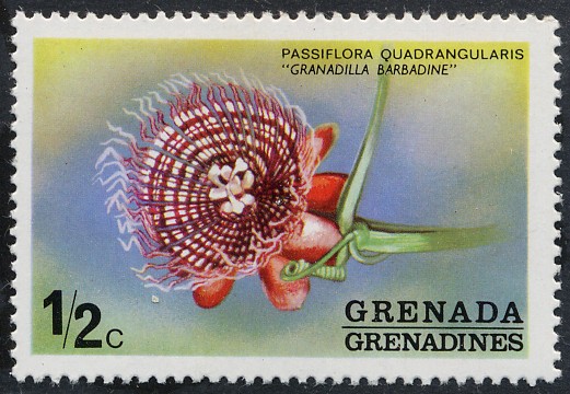 Granadinas