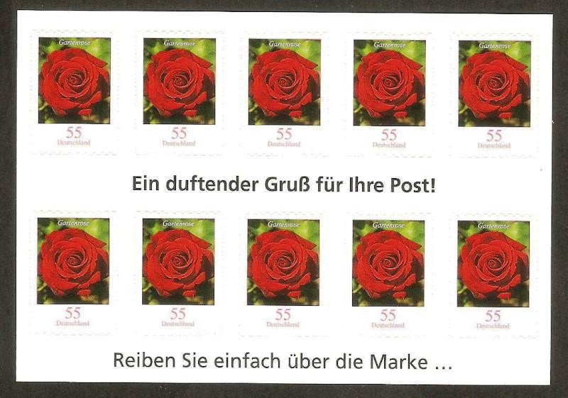 flora, gartenrose