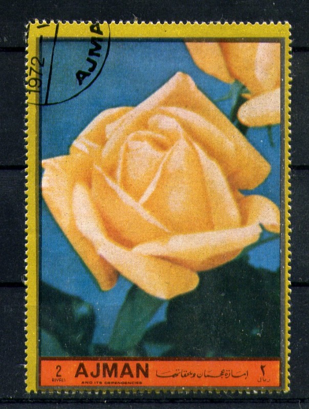 Rosa