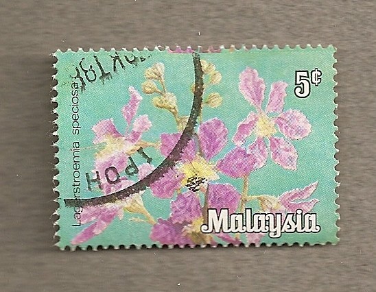 lagerstoemia speciosa