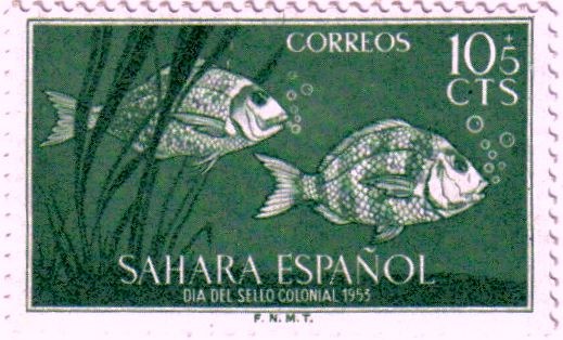 Sahara Español. Día del sello 1953