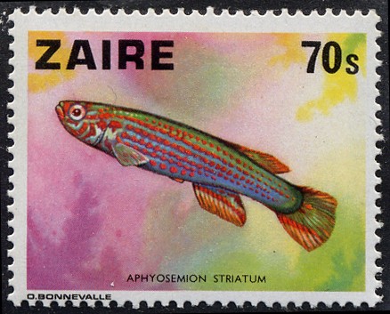 Zaire