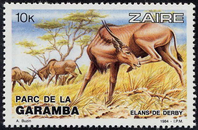 Zaire