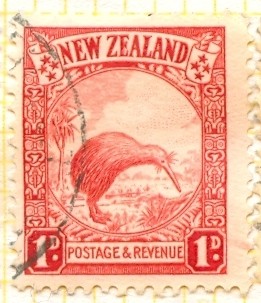 Kiwi