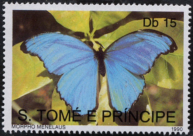Mariposas