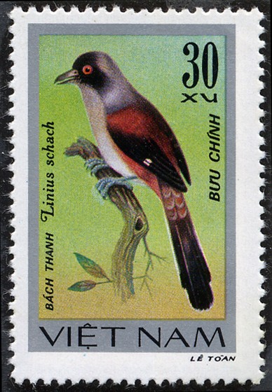 Fauna