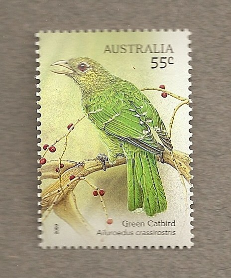 Aves endémicas de Australia