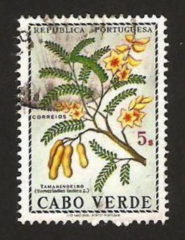 flora, tamarindo