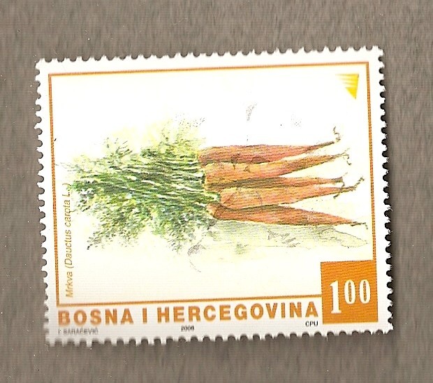 Manojo de zanahorias