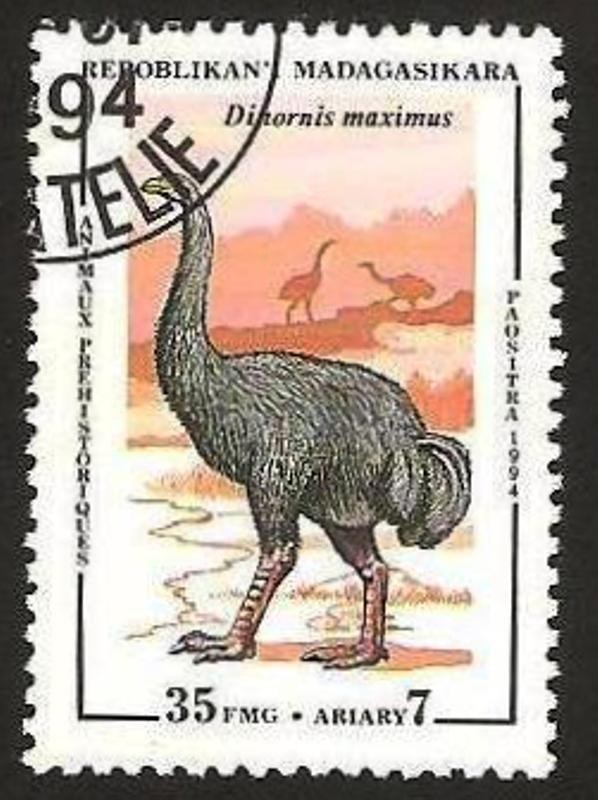 dinosaurio dinornis maximus
