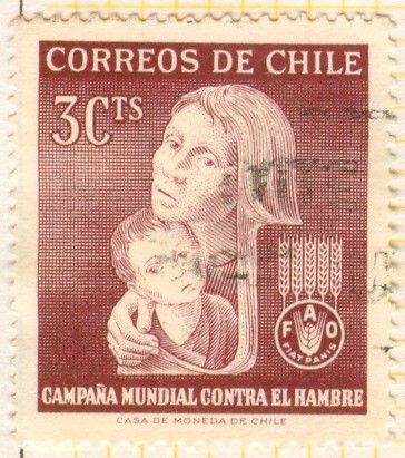 Serie FAO