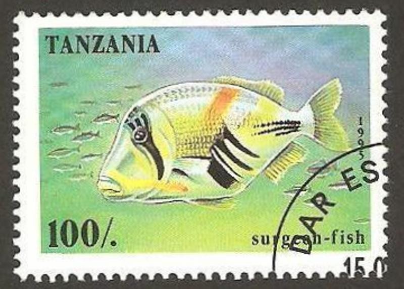 pez surgean
