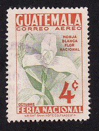 Monja Blanca Flor Nacional