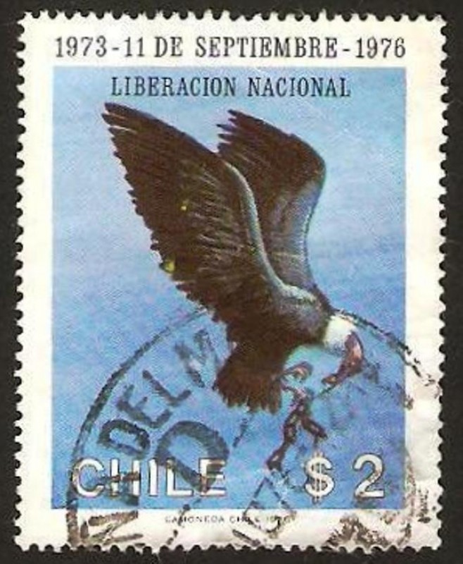 liberacion nacional, un aguila