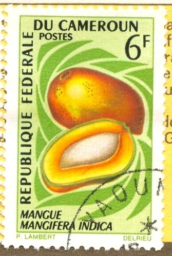 Mango