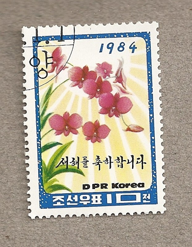 Año nuevo 1984