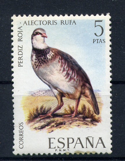 Perdíz roja