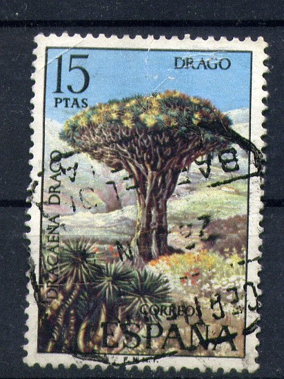 Drago