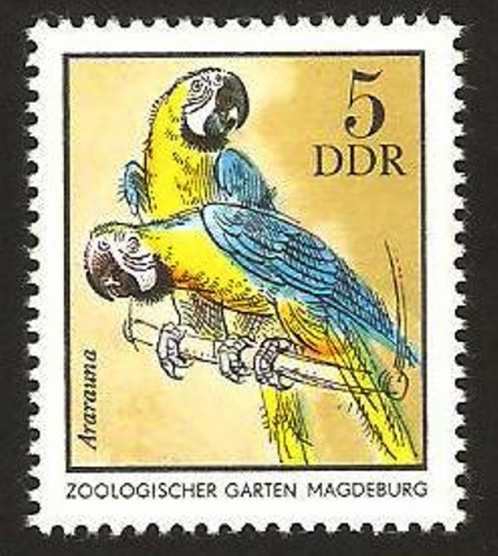 loro