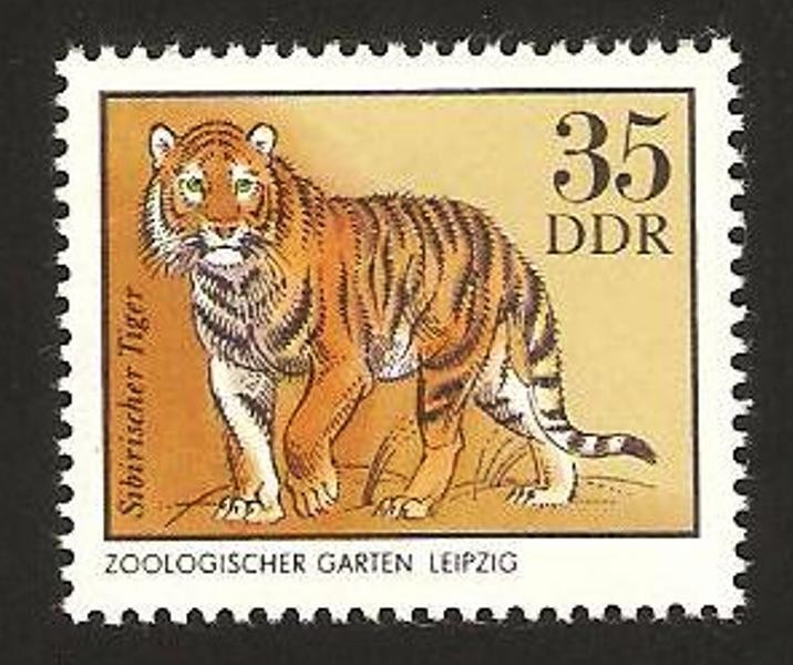 tigre