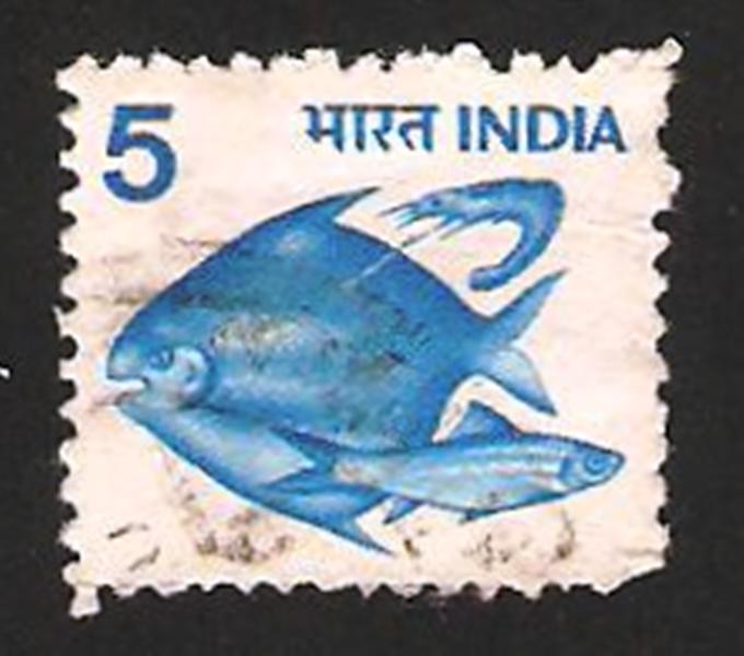 593 - peces