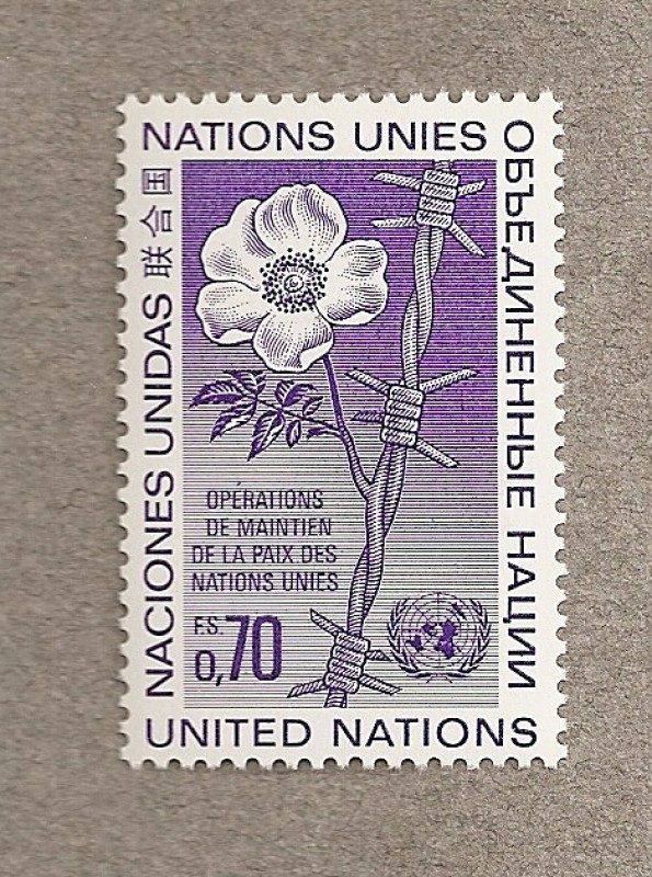 Misiones de paz ONU