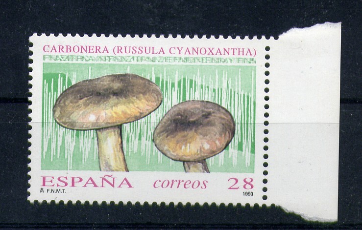 Carbonera