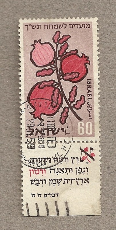 Fruto de granado