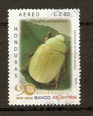 INSECTOS