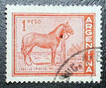 Caballo Criollo