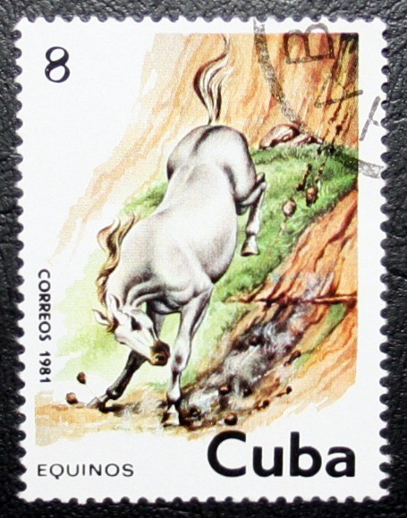 Equinos